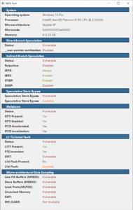 MDS-Check auf dem Intel Xeon Platinum 8180