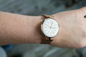 Skagen Signatur T-Bar