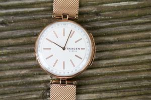 Skagen Signatur T-Bar