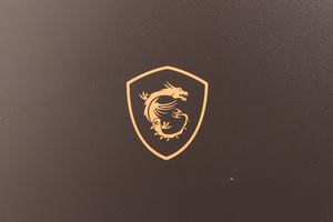 MSI GS65 Stealth Thin 8RF im Test