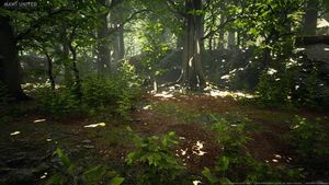 Wald Texturen und 3D-Modelle von MAWI United