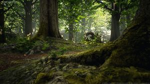 Wald Texturen und 3D-Modelle von MAWI United