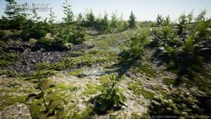 Wald Texturen und 3D-Modelle von MAWI United