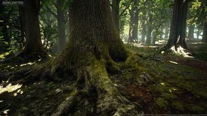 Wald Texturen und 3D-Modelle von MAWI United