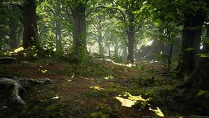 Wald Texturen und 3D-Modelle von MAWI United