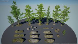 Wald Texturen und 3D-Modelle von MAWI United