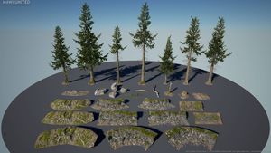 Wald Texturen und 3D-Modelle von MAWI United