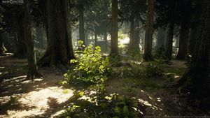 Wald Texturen und 3D-Modelle von MAWI United