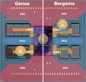 Semianalysis zu Bergamo / Zen4c