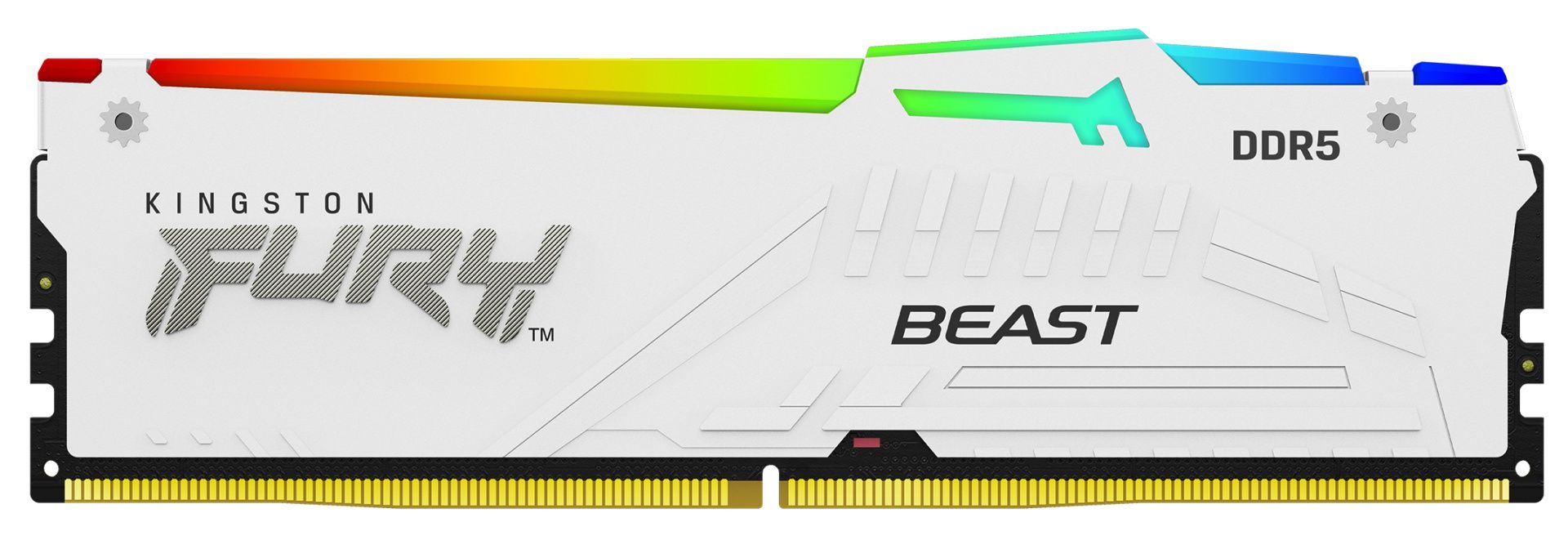 kingston-beast-ddr5-rgb_1920px.jpg