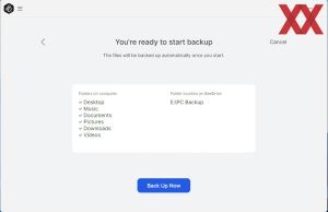 Synology BeeDrive 1 TB