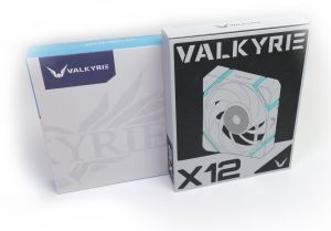 Valkyrie V12F