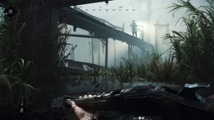 Quelle: https://store.steampowered.com/app/594650/Hunt_Showdown/