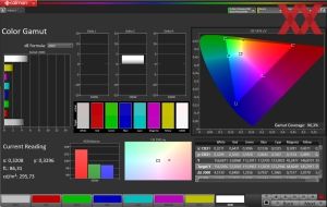 sRGB-Gamut im Racing-Mode