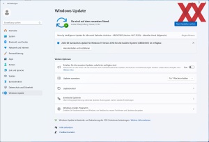 Windows Update KB5041587