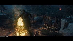 Ghost of Tsushima Director‘s Cut