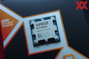 AMD Ryzen 9 9950X3D