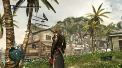 Assassins Creed IV