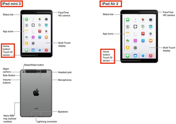 iPad Air 2 und iPad mini 3 im iOS-8.1-Benutzerhandbuch (Bild: MacRumors)