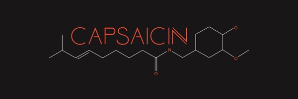 AMD Capsaicin-Event auf der GDC