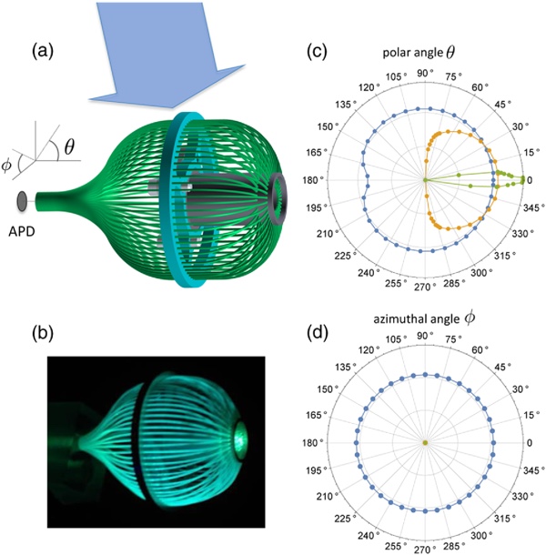 Aufbau eines Lumineszenz-Detektor in elliptischer Form