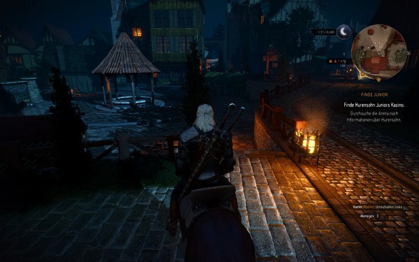 Witcher13